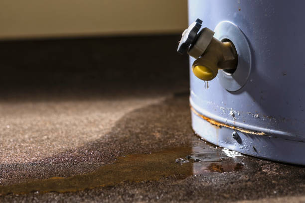 Best Commercial water damage restoration  in Midlothian, IL