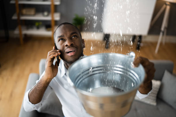 Best Residential water damage restoration  in Midlothian, IL
