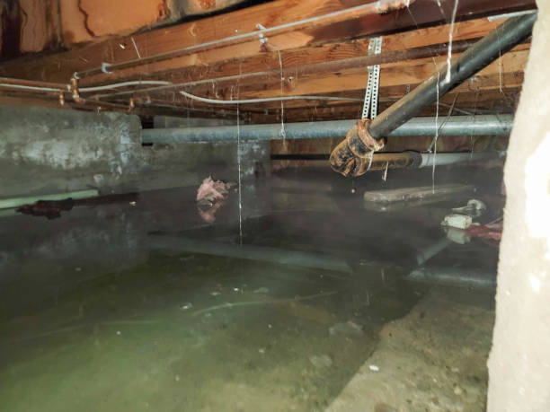 Best Ceiling water damage repair  in Midlothian, IL