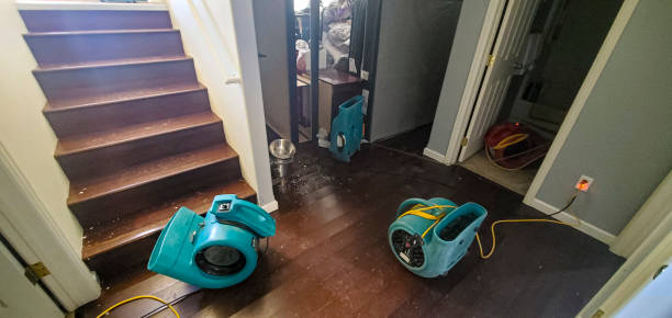 Best Sewage cleanup and water damage restoration  in Midlothian, IL