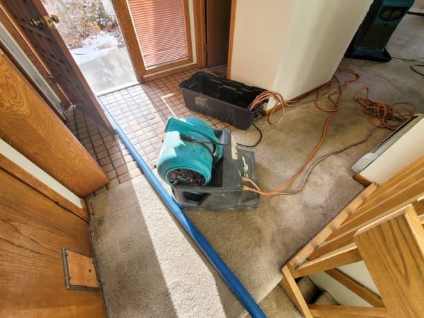 Best Sewage cleanup and water damage restoration  in Midlothian, IL