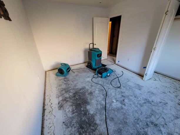 Best Flooded house restoration  in Midlothian, IL