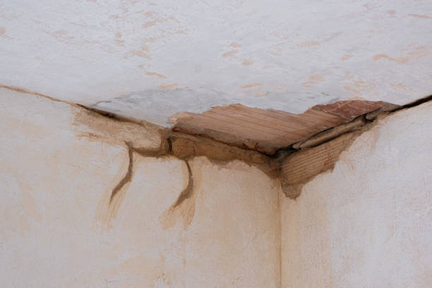 Best Carpet water damage restoration  in Midlothian, IL