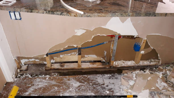 Best Water damage restoration insurance claims  in Midlothian, IL
