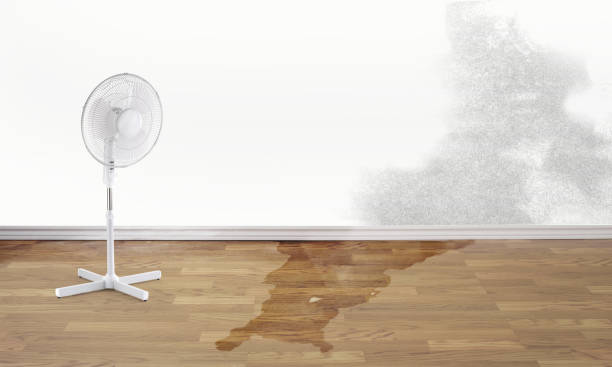 Best Water damage restoration near me  in Midlothian, IL