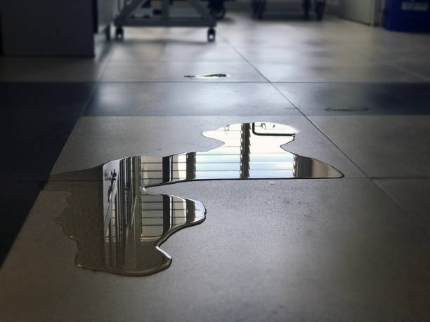 Best Local water damage restoration  in Midlothian, IL