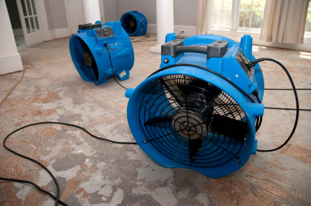 Best Flood damage cleanup  in Midlothian, IL