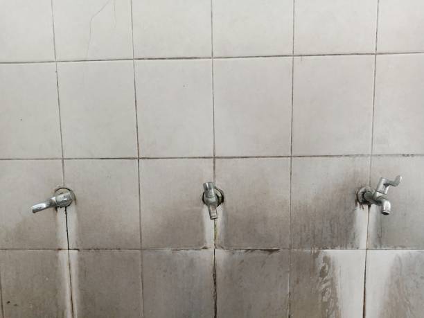 Best Water damage restoration near me  in Midlothian, IL