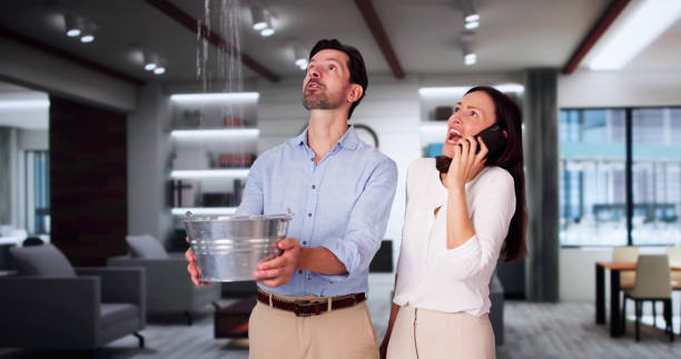 Best Flood restoration services  in Midlothian, IL