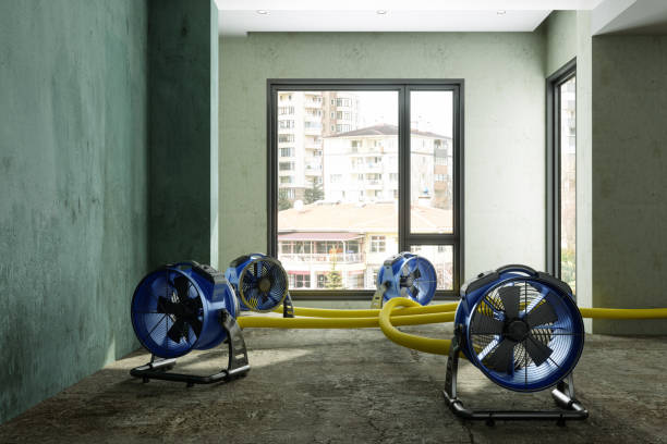 Best Basement water damage restoration  in Midlothian, IL